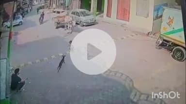 जानसठ: मीरापुर कस्बे के मोहल्ला मुस्तर्क कॉलोनी में मासूम बच्चे पर डॉग अटैक, घटनाक्रम CCTV कैमरे में कैद
