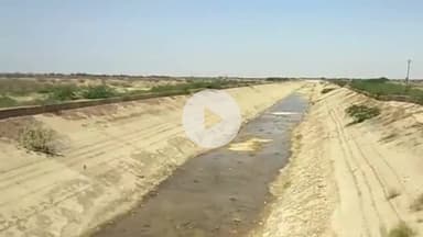 માળીયા: માળિયા મિયાણા પંથકના છેવાડાના ગામો સુધી નર્મદા કેનાલનું પાણી ન પહોંચતું હોવાની ખેડૂતોની વેદના...
#jansamasya