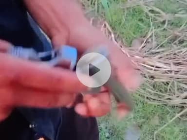 नौगावां सादात: गांव मुंडा खेड़ा खादर में अवैध तमंचे से फायर करते युवक का वीडियो हुआ वायरल