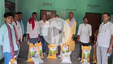 राजगीर: राजगीर अनुमंडल के सभी प्रखंडों में किसानों को धान और मक्का बीज का अनुदानित दर पर शुरू वितरण