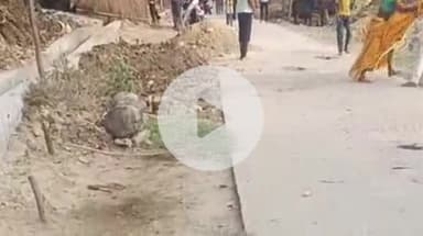 फतेहपुर: कल्यानपुर थाना क्षेत्र के बोधीखेड़ा गांव में मां-बेटी को दबंग ने लाठी-डंडों से पीटा, वीडियो हुआ वायरल