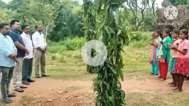 अडकी: ग्राम तायाबेड़ा में विधायक निधि से बने चबूतरे का विधायक प्रतिनिधि ने किया उद्घाटन