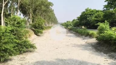 कादीपुर: शारदा सहायक खंड 16 नहर में पानी न आने से किसान और जीव जंतु पानी के लिए हो रहे परेशान #jansamasya