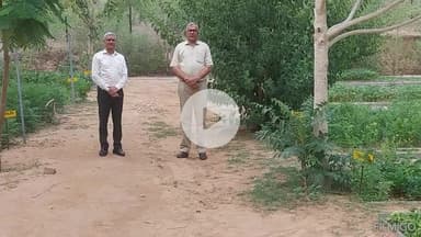 बीदासर: अतिरिक्त सम्भागीय आयुक्त ने गोपालपुरा नर्सरी और हरितिमा ढाणी का किया निरीक्षण