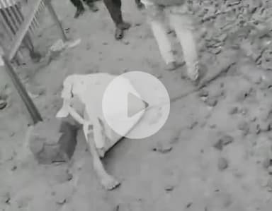 पचपदरा: बालोतरा में एक युवक ने ट्रेन के आगे कूदकर अपने जीवन की लीला समाप्त की