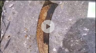 इंदौर: राजा की हत्या में इस्तेमाल हथियार की तस्वीर आई सामने, आरोपी गुवाहाटी से लाए थे घातक हथियार