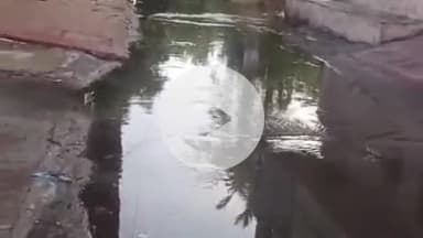 लाडपुरा: कोटा शहर में देर रात हुई तेज बारिश से बालाजी नगर में नगर निगम की सफाई व्यवस्था की खुली पोल, लोग परेशान