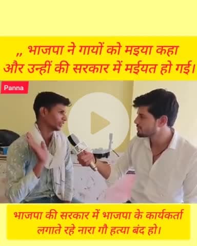 पन्ना:भाजपा की सरकार में गायों की हुई बुरी दुर्दशा भाजपा का कार्यकर्ता लगा रहे नारा गौ हत्या बंद हो #panna #varil #mp