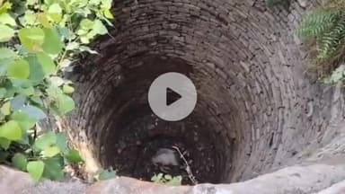 बटियागढ़: सिमरी गांव में सूखे कुएं में गिरा बैल, बचाव के प्रयास जारी