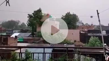 बिक्रमगंज: बिक्रमगंज प्रखंड क्षेत्र में तेज आँधी और बारिश से मिली गर्मी से राहत, कई बिजली के पोल उखड़े और पेड़ ध्वस्त