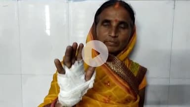 ताजपुर: कोठिया डुमरी गांव में ताड़ के पेड़ से फल्ली तोड़ने के विवाद में महिला से मारपीट