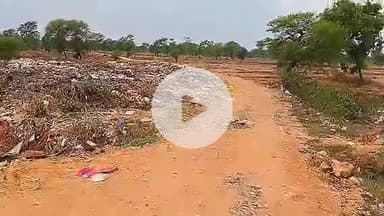 लांजी: कालीमाटी मार्ग पर कचरे की शिकायत के बाद कलेक्टर ने सीएमओ को दिए निर्देश