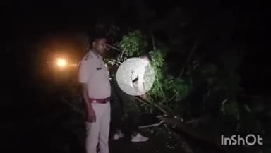 भभुआ: कैमूर वन विभाग की टीम ने रामगढ़ मोहनिया पथ पर बारिश से गिरे पेड़ को हटाया, दे रहा था दुर्घटना का संकेत