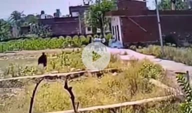 तानसेन: ज़मीन विवाद को लेकर गिरवाई में हुई मारपीट की घटना