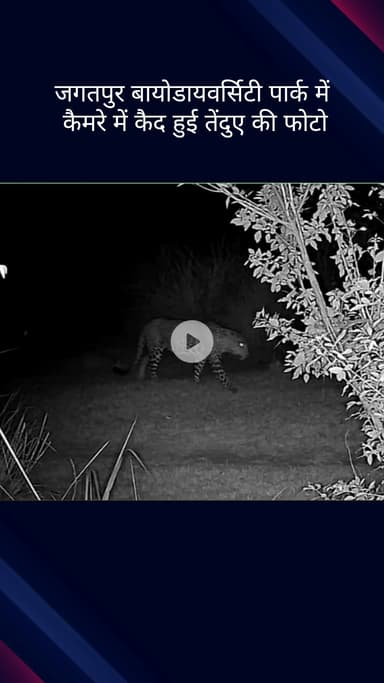 सिविल लाइन्स: बुराड़ी: जगतपुर बायोडायवर्सिटी पार्क में कमरे में कैद हुआ तेंदुआ