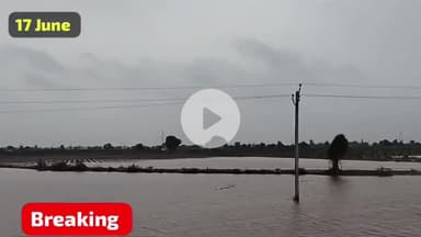 માળીયા: માળીયા મિયાણા પંથકમાં છેલ્લી 24 કલાકમાં બે ઇંચ વરસાદ નોંધાયો, કચ્છ હાઇવે પર ખેતરોમાં ગોઠણ સમા પાણી ભરાયા...