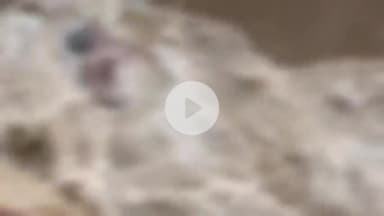 पीलीभीत: रम्पुरा फकीरें हरदोई ब्रांच नहर की झाल में तीसरे दिन मिला युवक का शव, पुलिस ने पोस्टमार्टम के लिए भेजा