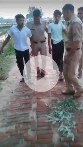 बरेली।पुलिस मुठभेड़ में तीन शातिर लुटेरे गिरफ्तार, तमंचे-कारतूस और नकदी बरामद, एक के लगी गोली, दरोगा भी घायल