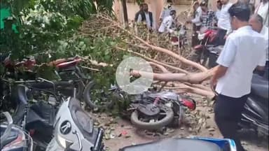 सागर नगर: सागर जिला न्यायालय परिसर में टूटकर गिरी पीपल के पेड़ की डाल, कई मोटरसाइकिलें हुई क्षतिग्रस्त