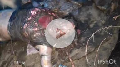 हुज़ूर: विश्वविद्यालय थाना क्षेत्र के अजगरहा बीहर पुल में मिली अज्ञात महिला का शव, पुलिस जांच में जुटी