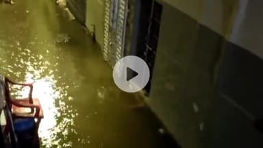 झांसी: मेंहदी बाग के वार्ड नंबर 8 में बारिश के पानी से हो जाता है जल भराव क्षेत्रवासी 10 सालों से हो रहे परेशान #jansamasya