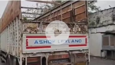 हुज़ूर: चोरहटा पुलिस ने मवेशी तस्करी करते 3 को किया गिरफ्तार, 38 मवेशी बरामद