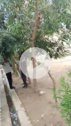 शाहजहांपुर: नजरपुर गौटियां में संदिग्ध परिस्थितियों में विवाहिता का शव फांसी के फंदे पर लटका मिला