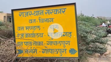बीदासर: गोपालपुरा व सांडवा नर्सरी में वन विभाग ने तैयार किए हैं सवा तीन लाख पौधे 

#forest #vandegangajal