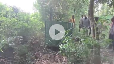 अमरोहा: रजबपुर में आम के बाग में तेंदुए ने किसान के पालतू कुत्ते को बनाया निवाला, ग्रामीणों में दहशत