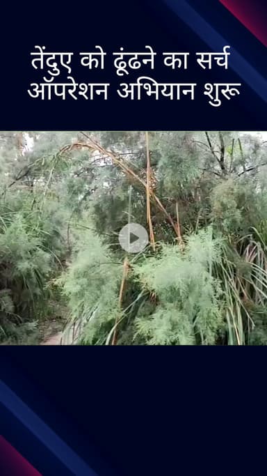 सिविल लाइन्स: बुराड़ी के जगतपुर स्थित बायोडायवर्सिटी पार्क में वन विभाग ने तेंदुए को ढूंढने के लिए सर्च ऑपरेशन शुरू किया