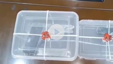 ਫਿਲੌਰ: ਫਿਲੋਰ ਪੁਲਿਸ ਨੇ ਬਿਲਗਾ ਵਿਖੇ ਫਿਰੋਤੀ ਲੈ ਕੇ ਹਮਲਾ ਕਰਨ ਦੇ ਮਾਮਲੇ ਵਿੱਚ ਦੋ ਆਰੋਪੀਆਂ ਨੂੰ ਕੀਤਾ ਗਿਰਫਤਾਰ