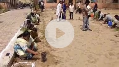 रायसिंहनगर: रायसिंहनगर में वंदे गंगा जल संरक्षण अभियान एवं हरियालो राजस्थान के अंतर्गत विभिन्न पार्कों में पौधारोपण किया गया