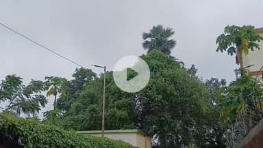 हज़ारीबाग: हजारीबाग में 19 जून को कक्षा 8 तक के सभी विद्यालय रहेंगे बंद