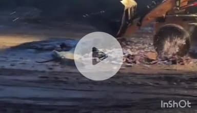 मांझा: मांझा थाने की पुलिस ने 6,904 लीटर जब्त शराब का किया विनष्टीकरण, मजिस्ट्रेट रहे मौजूद