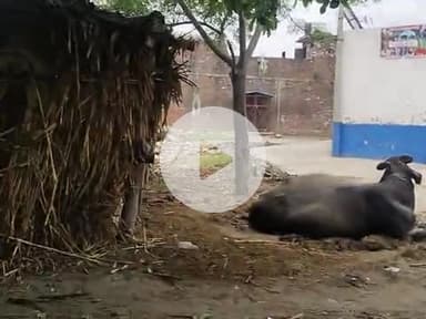 nainoul Bagwala ka mosam jama masjid ke samne #mosam #public #video