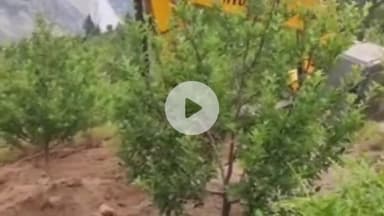 टापरी: मंत्री JS नेगी के निर्देशों के बाद उरनी कंडे में सड़क निर्माण का काम शुरू, बागवानों को सेब मंडी पहुंचाने में होगी आसानी