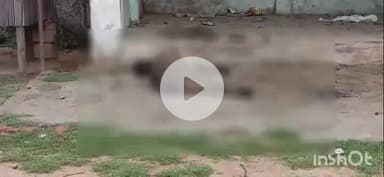 उदयपुर धरमजयगढ़: भट्टीपारा में बिजली खंभे के स्टे वायर में आ रहे करंट की चपेट में आने से एक गाय की हुई मौत