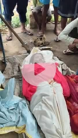jangal mahal po babhani kargahar saap katne se hui mat