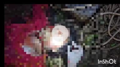 सासाराम: करवदिया थाना क्षेत्र के करवदिया में पानी में डूबने से अज्ञात महिला की मौत