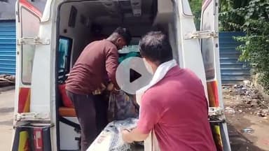 कटनी नगर: बरही थाना के उबरा गांव में जंगली सुअर के हमले से महिला जख्मी, अस्पताल में भर्ती