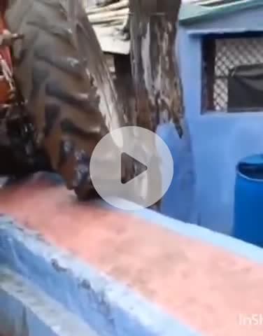 ग्वालियर गिर्द: लक्ष्मण तलैया में अनियंत्रित होकर घर में घुसा ट्रैक्टर, महिला हुई घायल