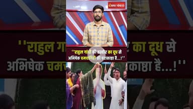 जन्मदिन पर Congress कार्यकर्ताओं ने Rahul Gandhi के पोस्टर को दूध से नहलाया #shorts #rahulgandhi #mp