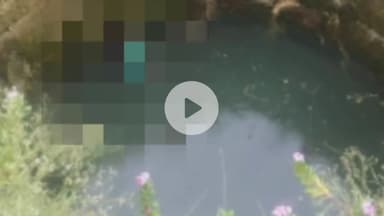 चितरंगी: कुएं में गिरने से किशोरी की मौत, निवास पुलिस कर रही है मामले की जांच