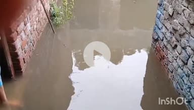 फिरोज़ाबाद: दुर्गेश नगर, सलमान फारसी मस्जिद वाली गली, रहीम नगर गली में गलियां नाली न बनने से बरसात पर घरों में घुसा पानी #jansamasya