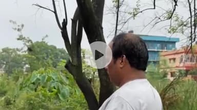 हज़ारीबाग: भारी बारिश के बीच सदर विधायक प्रदीप प्रसाद ने जलजमाव की समस्या का अवलोकन किया, अधिकारियों को दिए निर्देश