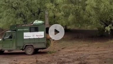 कनवास: बाघिन कनकटी को दरा मुकुन्दरा टाइगर रिजर्व में किया गया शिफ्ट, रणथंभौर किले के पास रेंजर व बालक का कर चुकी है शिकार