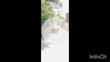 नरसिंहगढ़: सराना पंचायत में सीसी रोड बनने से लोगों को मिली राहत