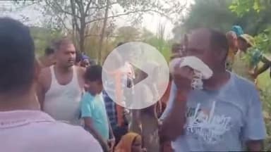 करनैलगंज: कटरा दुबहा मार्ग पर अहिरन पुरवा के पास तेज रफ्तार बाइक पेड़ से टकराई, हादसे में एक बाइक सवार की मौत, दो अन्य घायल