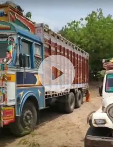 गुड़ामालानी: बाड़मेर में राज्य-वृक्ष खेजड़ी से भरे ट्रक-पिकअप जब्त, 20 टन गीली लकड़ी बरामद, दो ड्राइवरों को किया गिरफ्तार