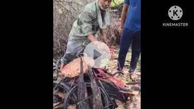 जीरन: ग्राम बांसखेड़ा में विद्युत डीपी से करंट लगने से बंदर की मौत, ग्रामीणों ने किया अंतिम संस्कार